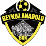 Beykoz Anadolu
